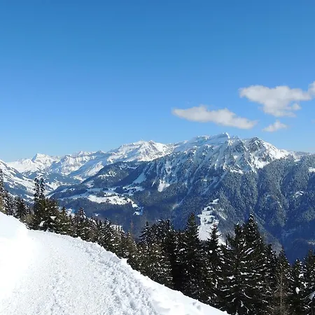 Alpine Classic Hotel Leysin