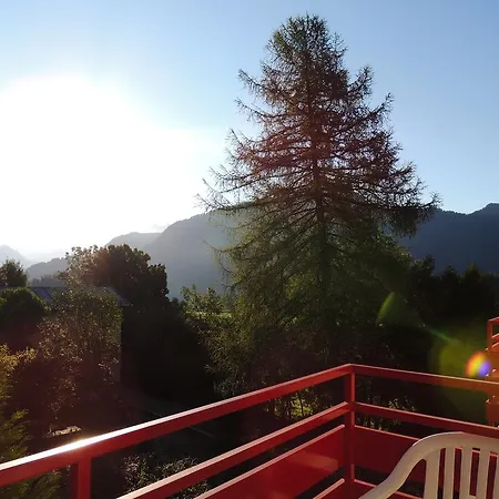 アルパイン クラシック レイサン