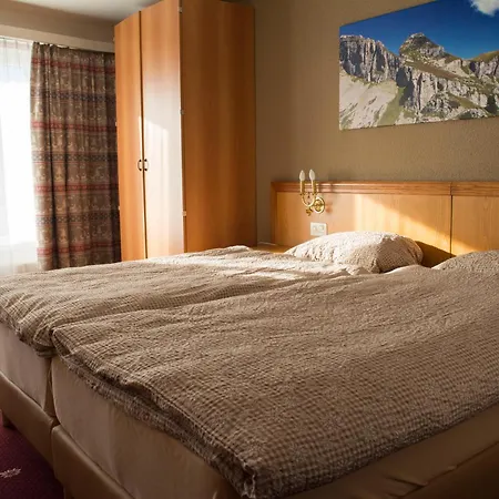 アルパイン クラシック ホテル レイサン