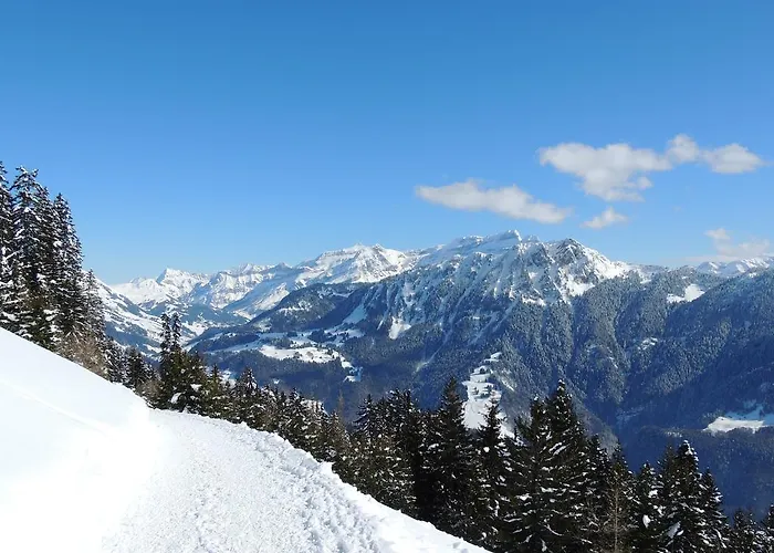 Alpine Classic Hotel Leysin