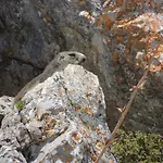 Alpine Classic Ξενοδοχείο 3*